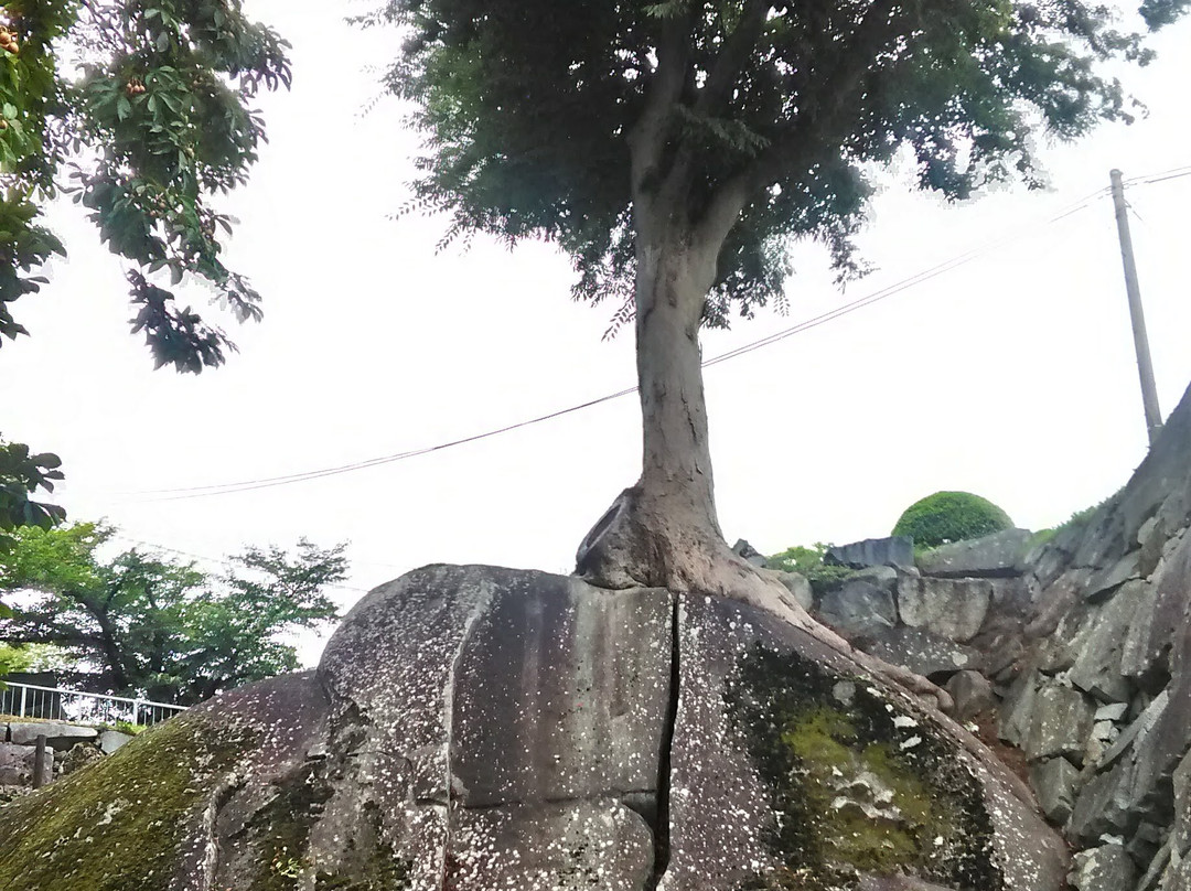 Morioka Castle Ruins-盛冈市必去景点