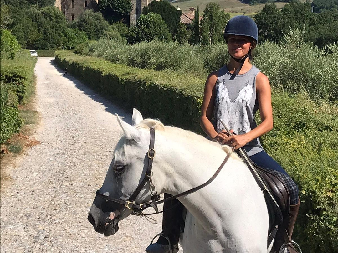 Agriturismo Centro Ippico della Berardenga主图
