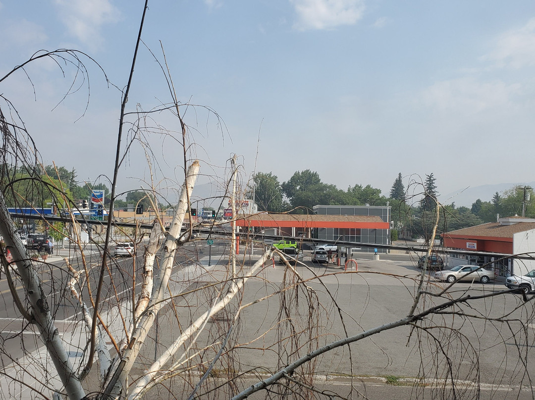 Hardman House Hotel主图