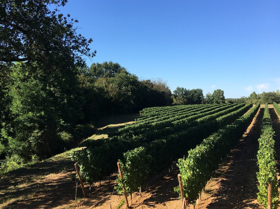 La Panneterie Holiday Home主图