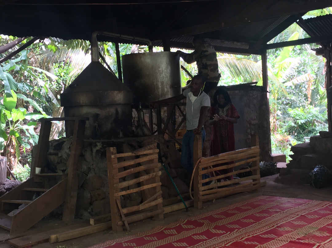 Aromaore-Ouangani必去景点