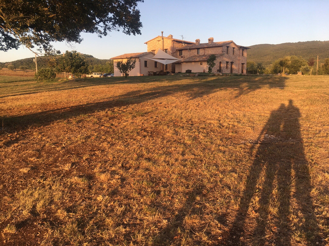 Agriturismo La Collina主图