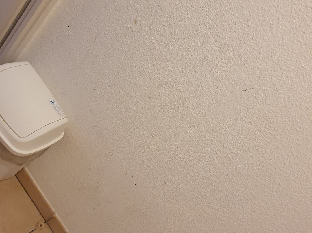 迪夫莱邦阿德吉奥阿克瑟斯酒店主图