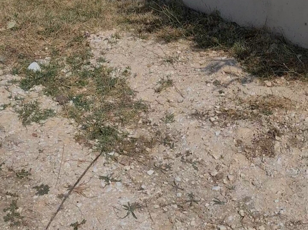 Votsalo Suites主图