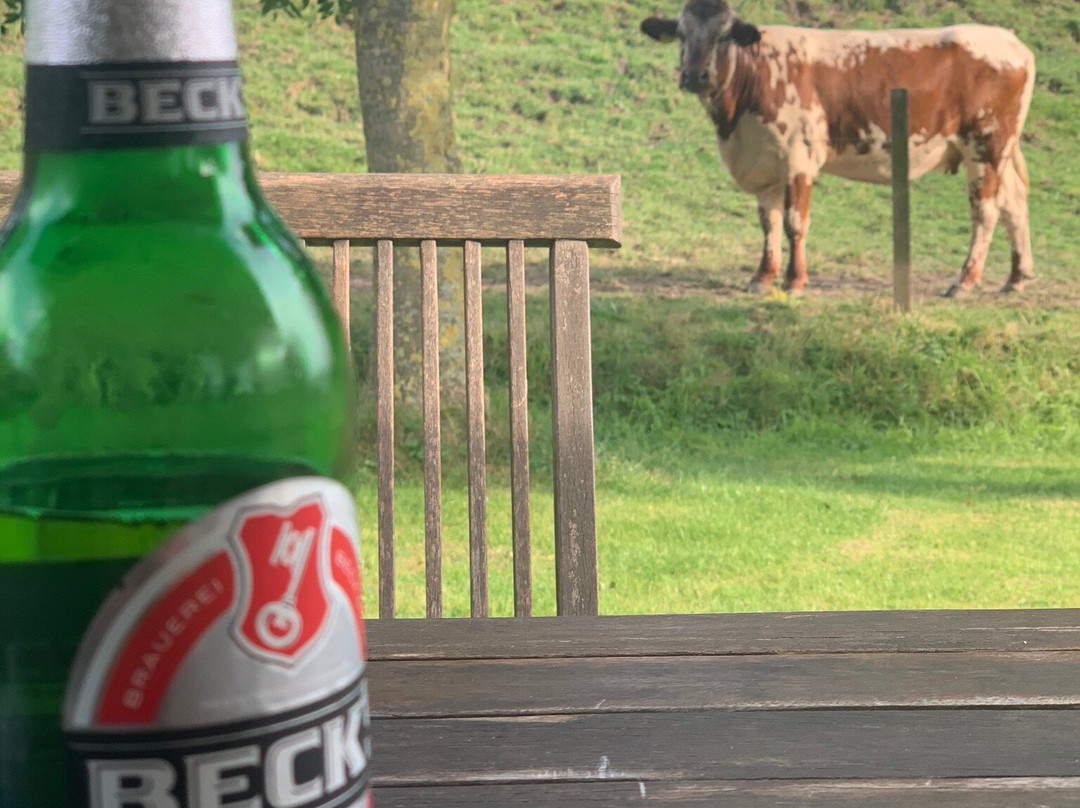 Pension Altes Zollhaus主图