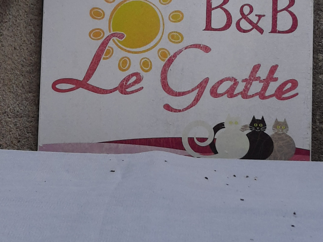 B&B Le Gatte主图