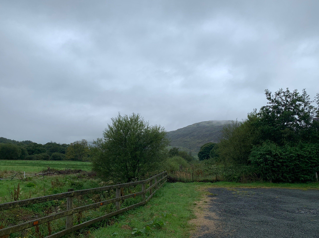 Bryn Tyrch Inn主图