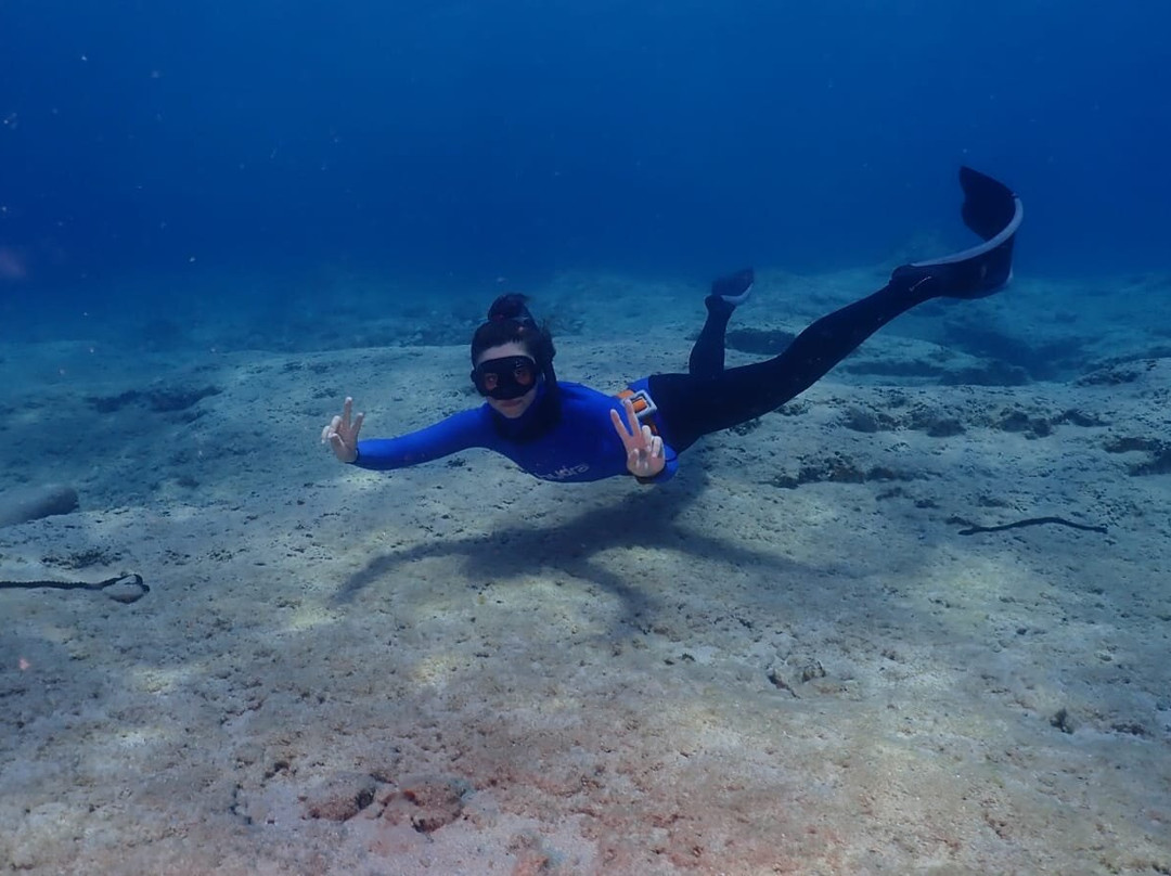 Life Aquatic Freediving and Yoga School-卡斯必去景点