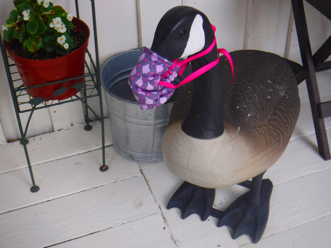 Mountaineer Inn主图