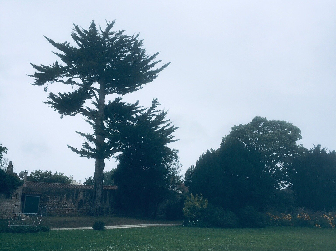 Chateau de Bonnemie景点图片