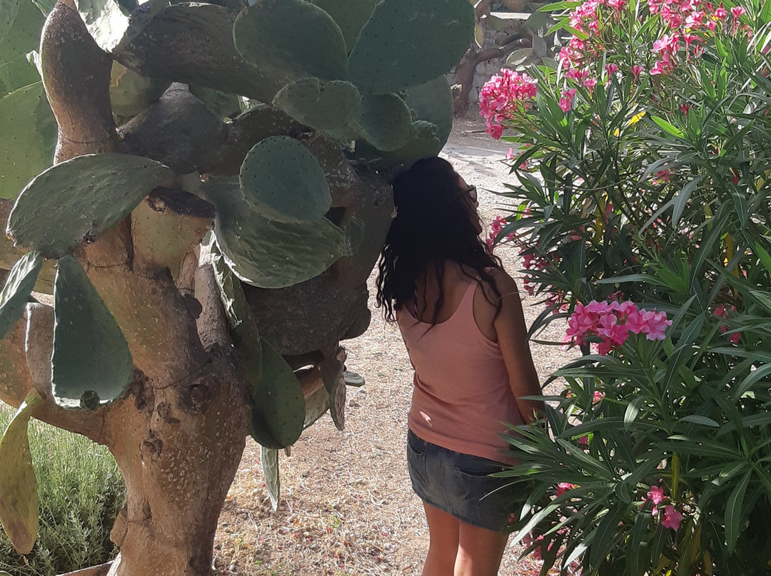 Antica Dimora San Filippo主图