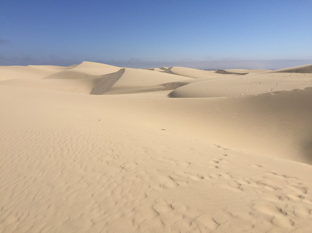 Oceano Dunes Natural Preserve景点图片