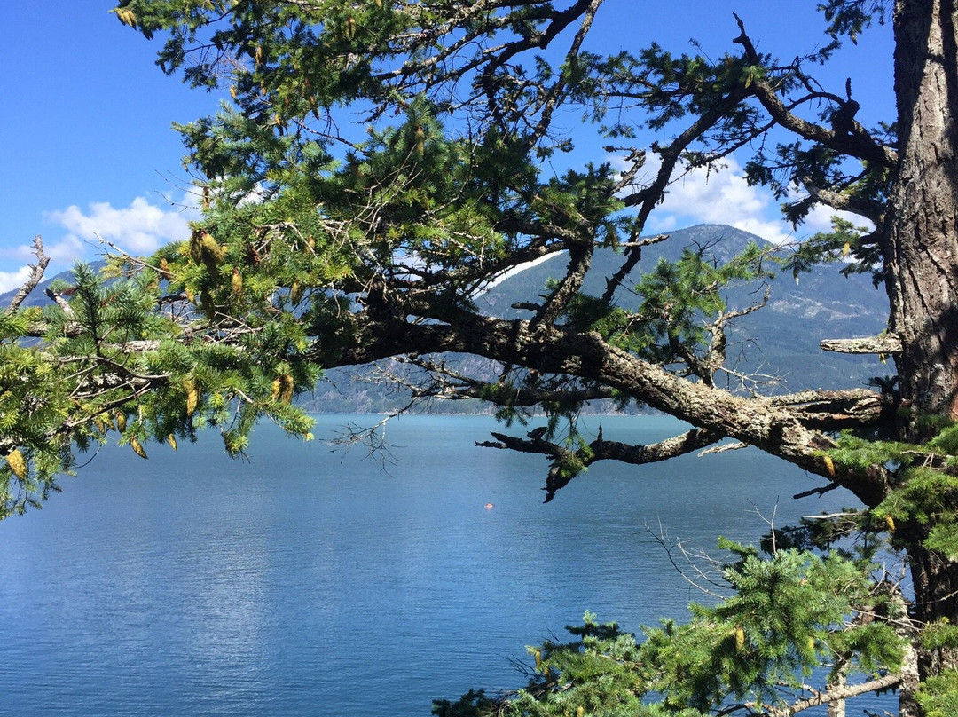 Porteau Cove Provincial Park-斯阔米什必去景点