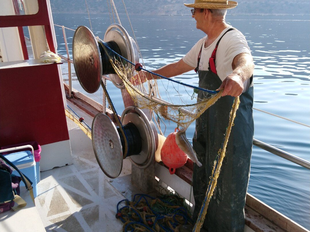 Poseidon Fishing Tourism Kefalonia景点图片