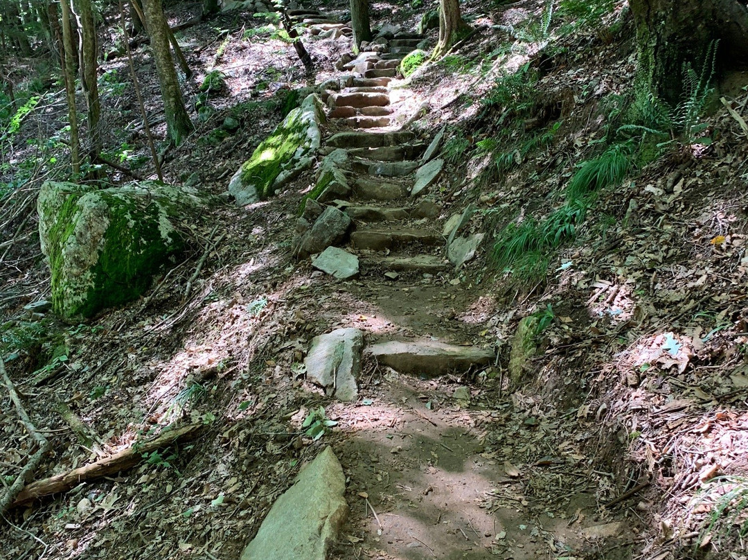 Mianus River Gorge Preserve-Bedford必去景点