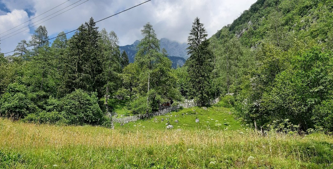 Alpine Botanical Garden Juliana景点图片