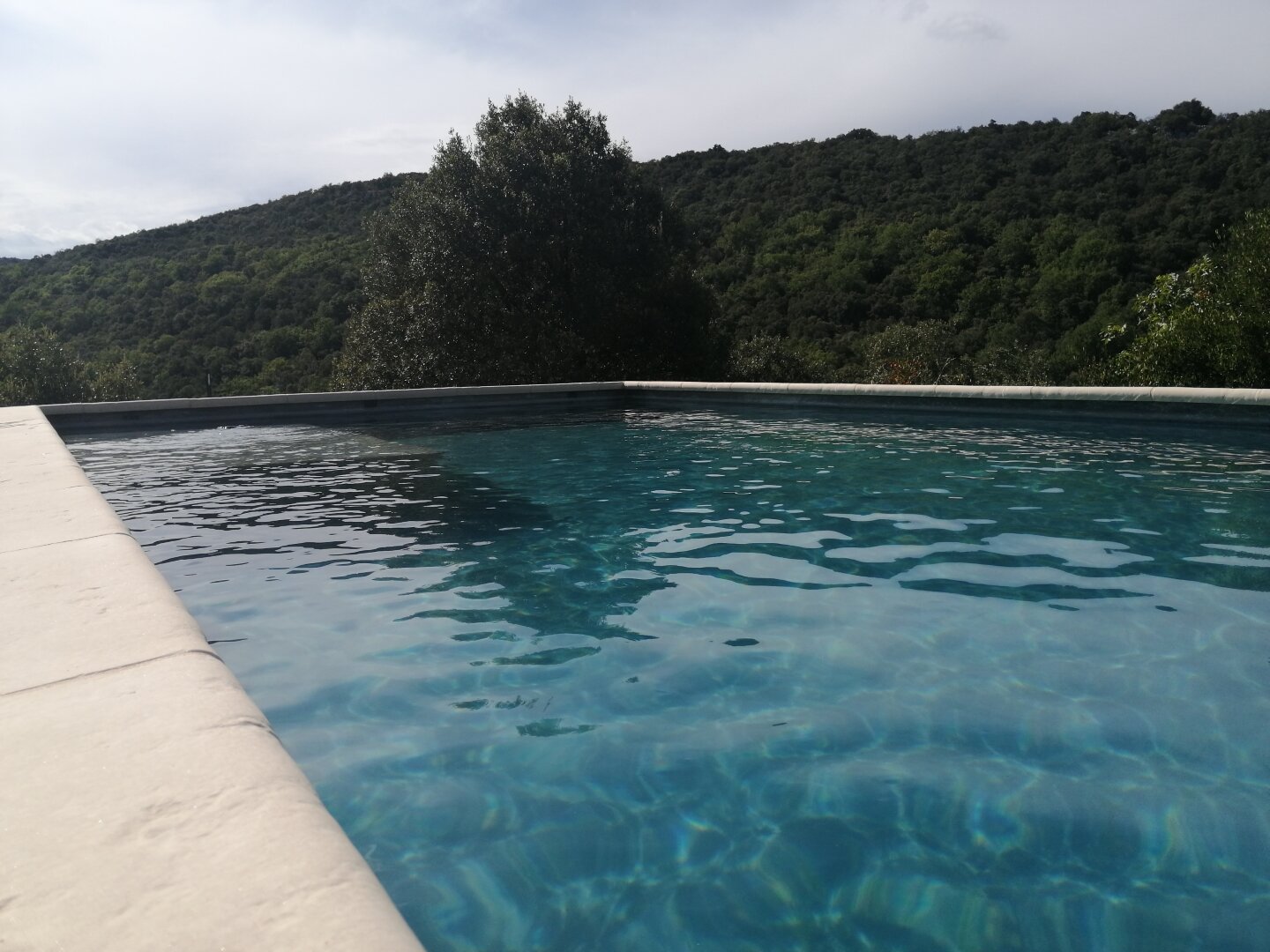 Les Hauts D'issensac-泳池