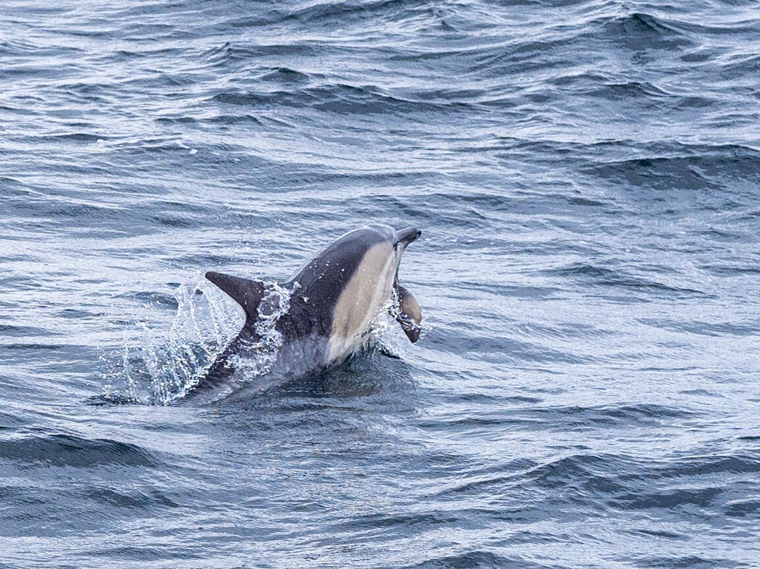 Hebridean Adventures-奥本必去景点