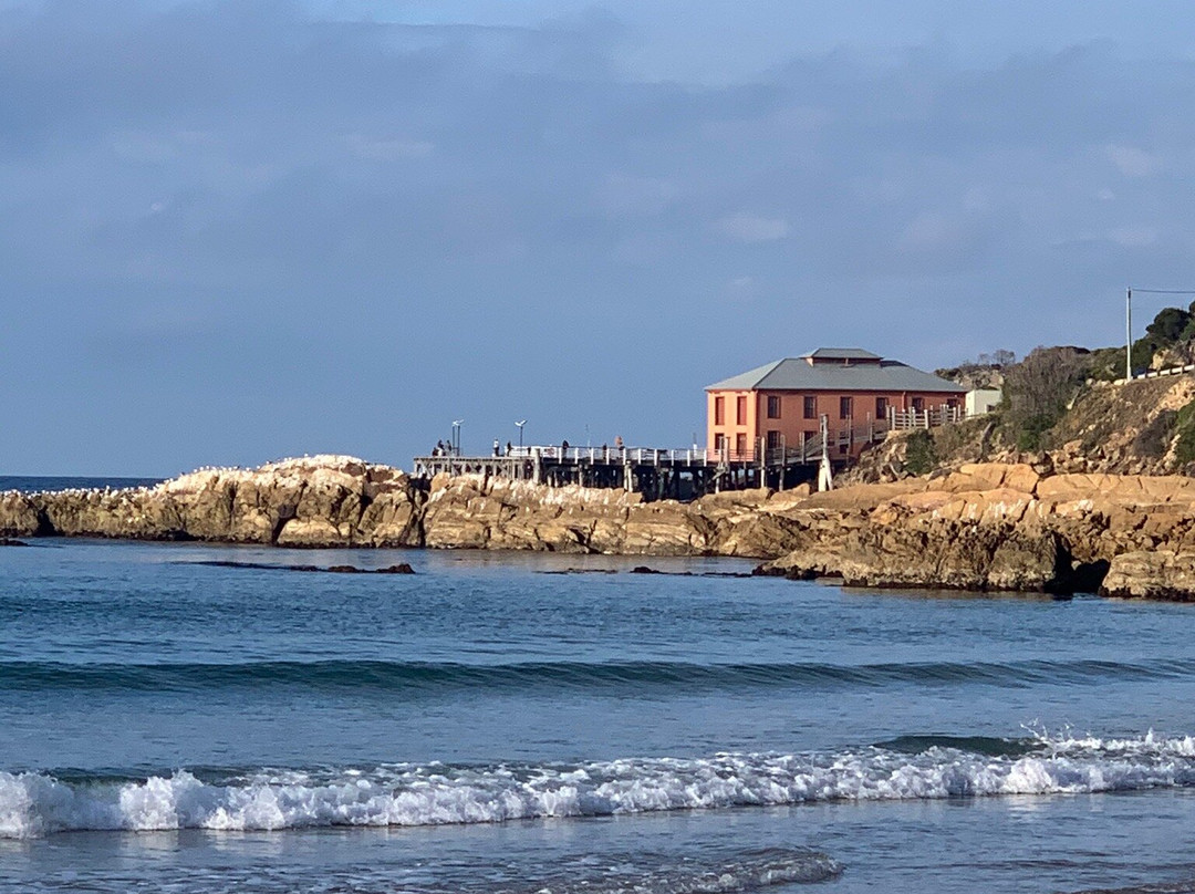 塔斯拉海滩楼主图