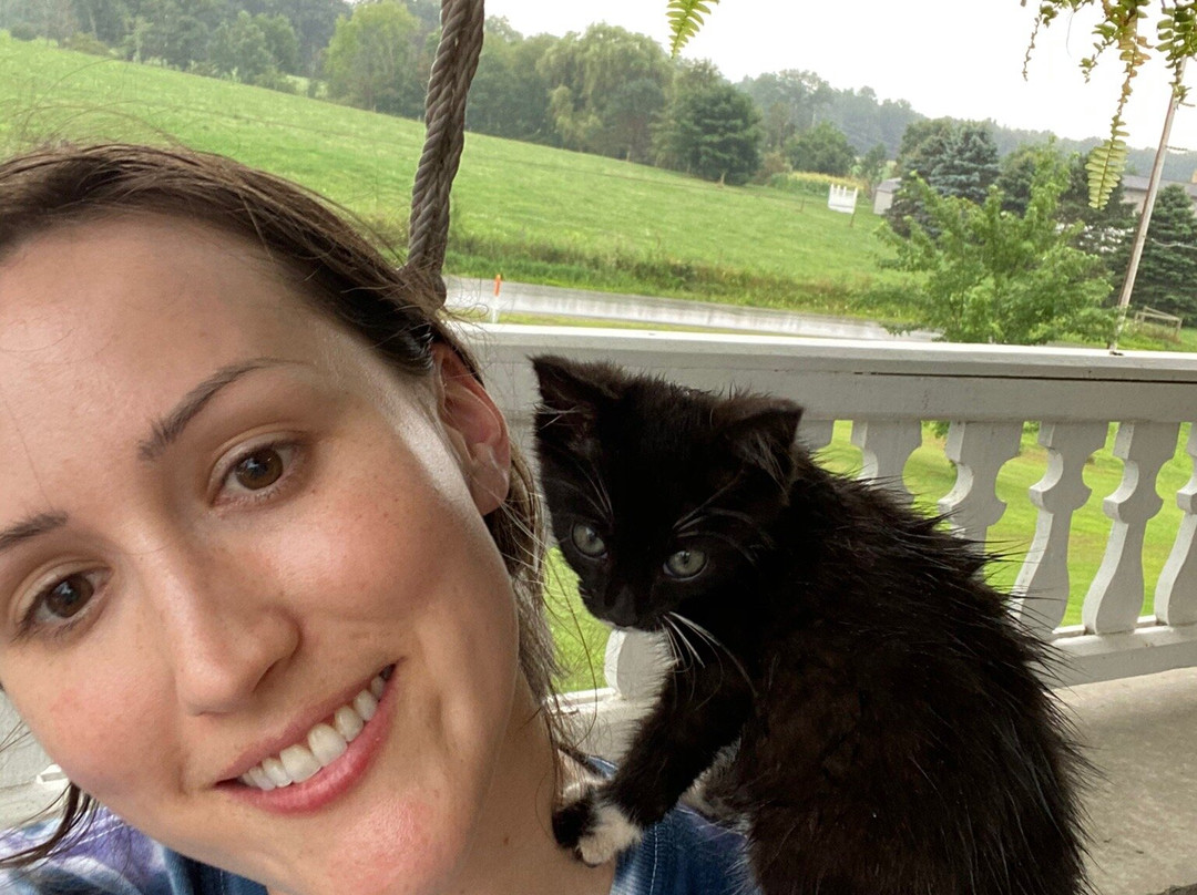 Davidsville旅游攻略图片