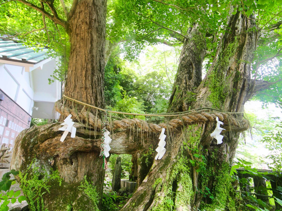 Inashimo Shrine景点图片
