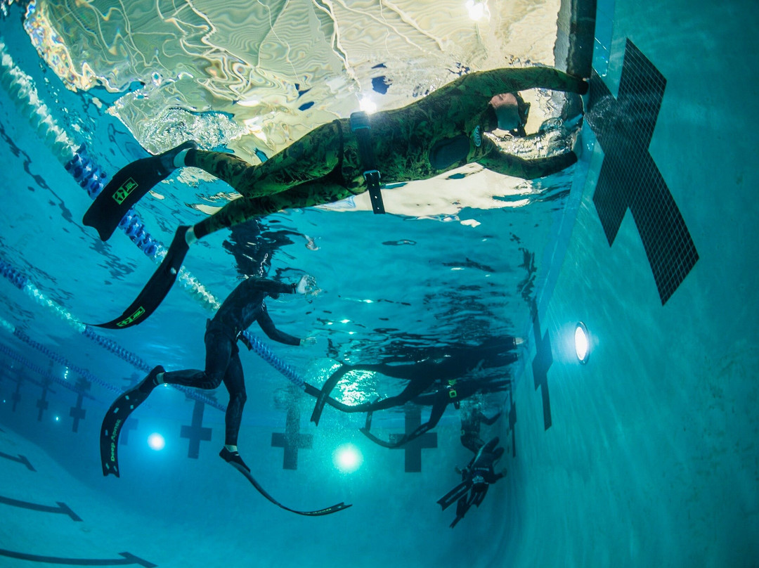 MBAY Freediving-蒙特雷必去景点