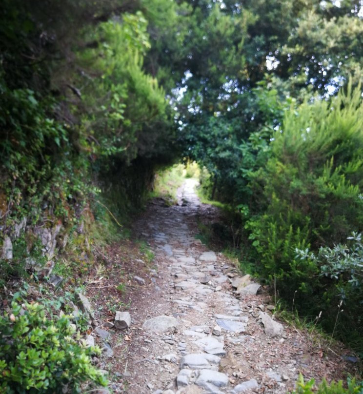 Sentiero Vernazza a Corniglia景点图片