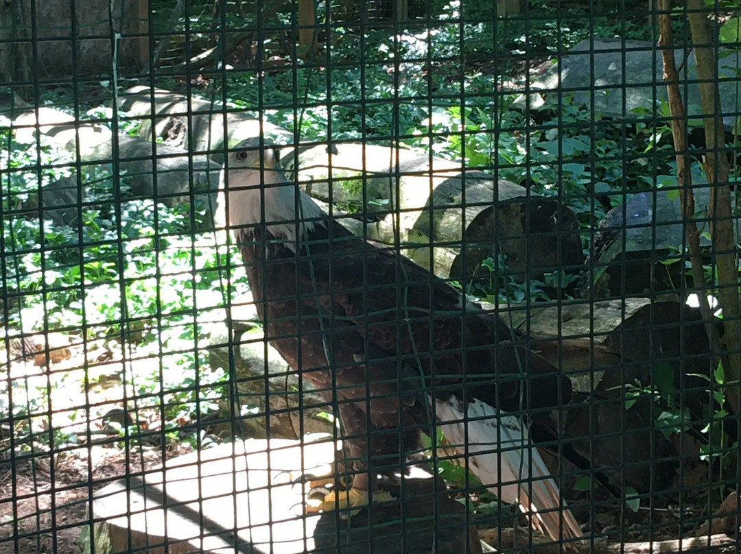 Adirondack Wildlife Refuge-Wilmington必去景点