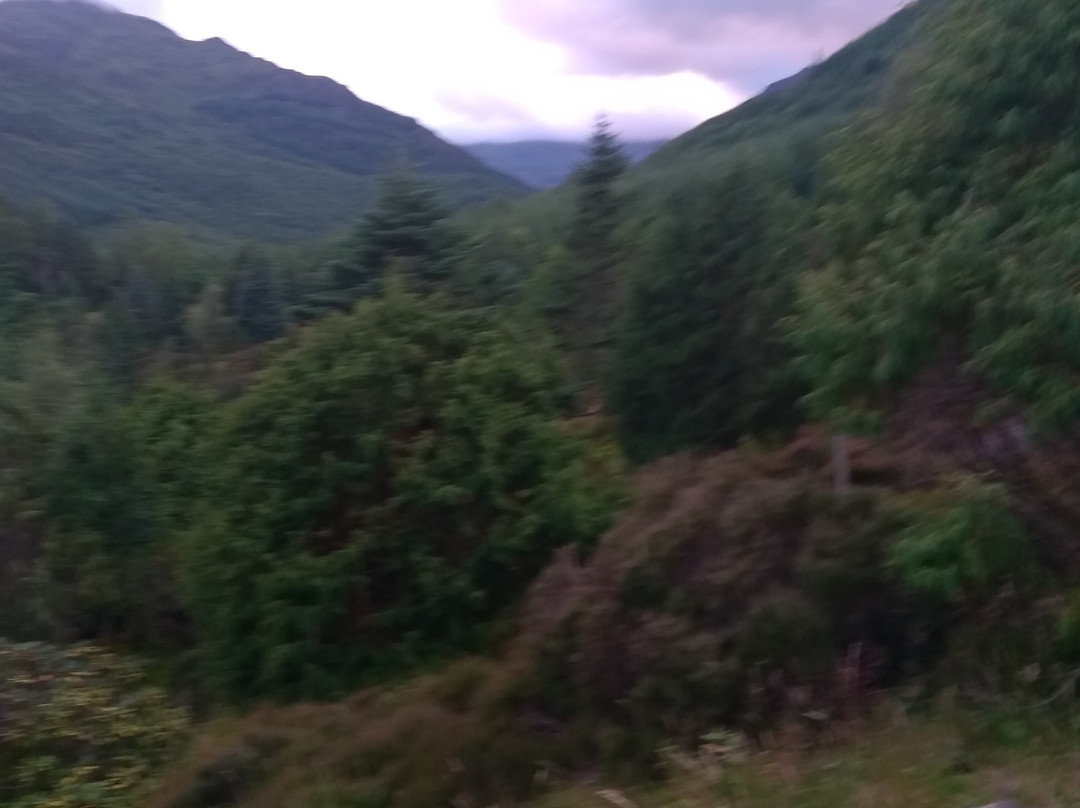 Argyll Forest Park-达农必去景点