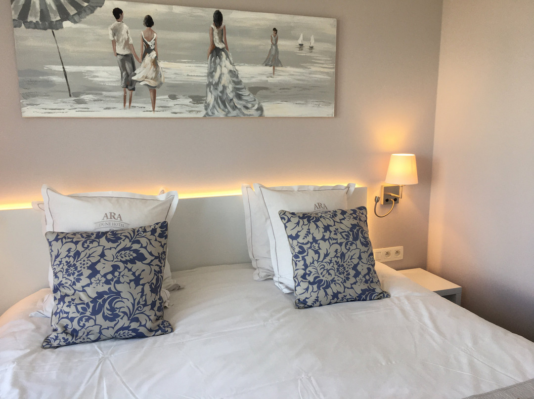 Ara Dune Hotel主图