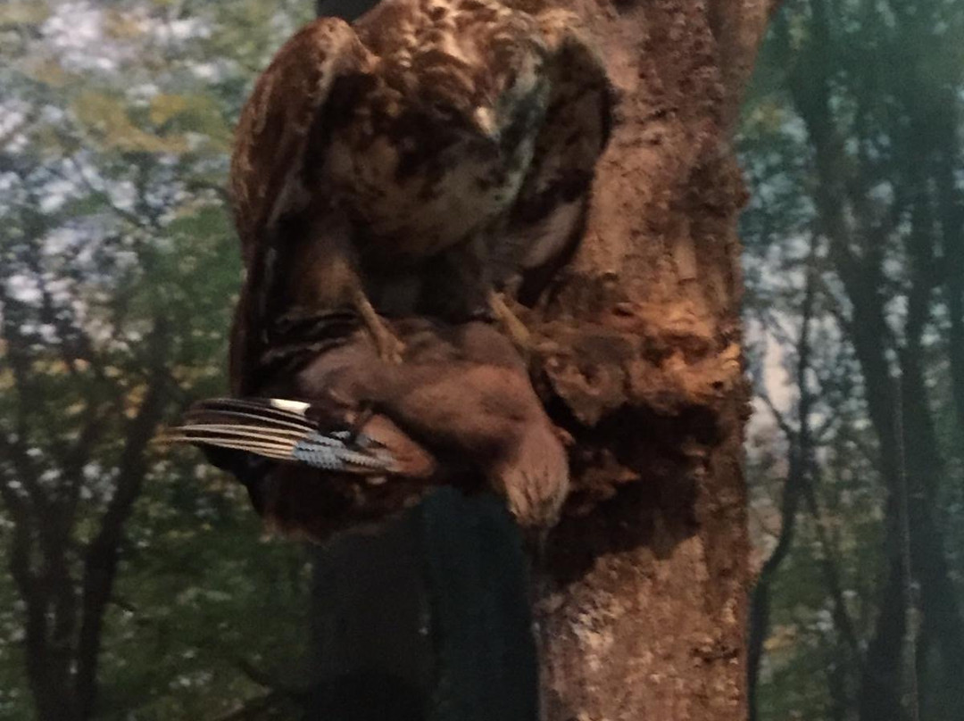 Bezoekerscentrum Nunspeet-Nunspeet必去景点