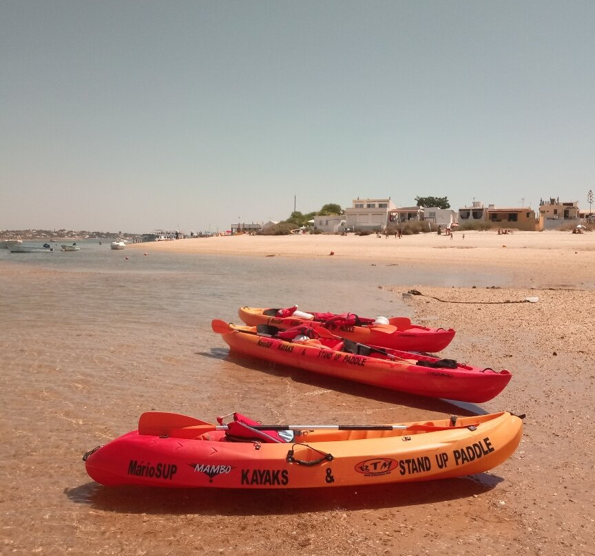MarioSUP - Kayak & Stand Up Paddle Tours景点图片