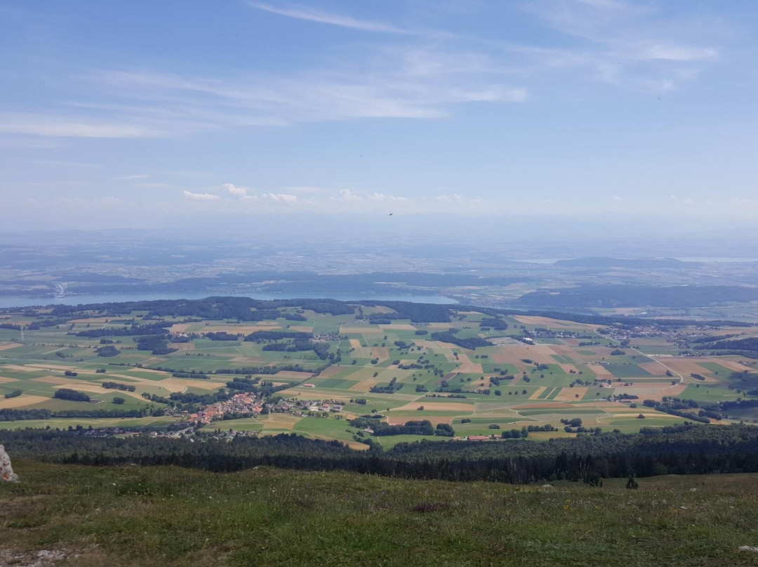 Parc Régional Chasseral景点图片