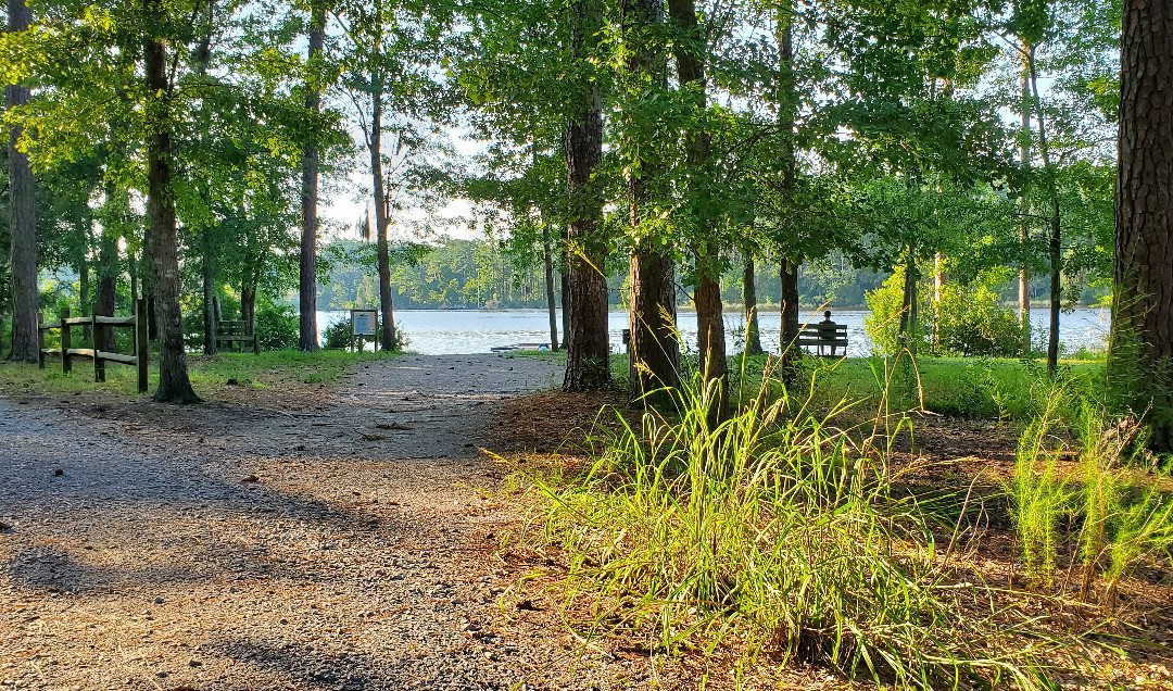 Goose Creek State Park景点图片