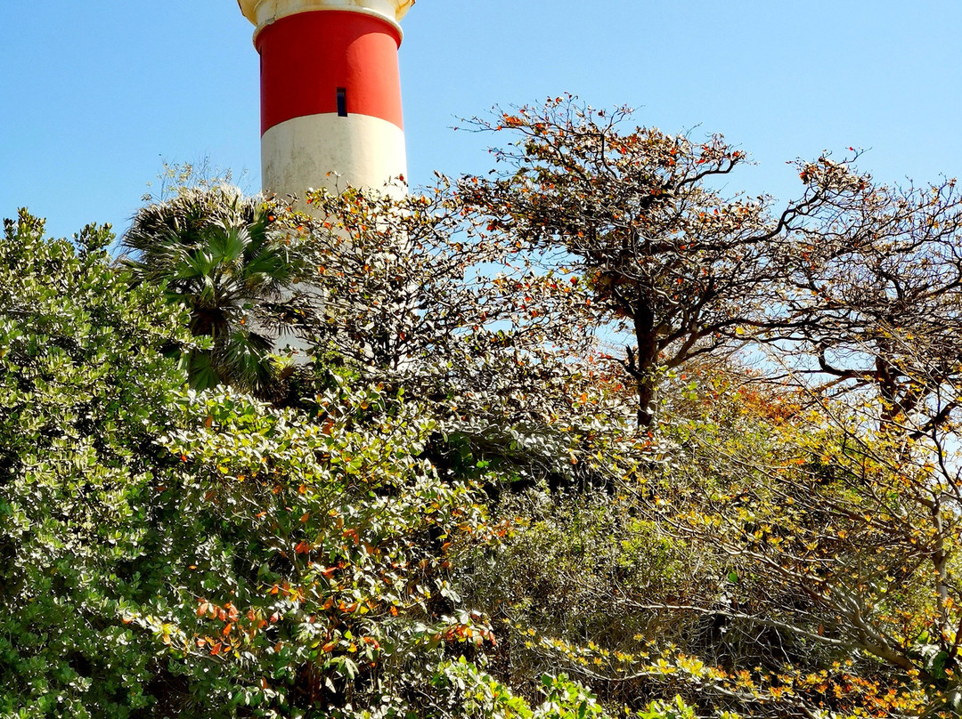 Phare De Bel Air景点图片