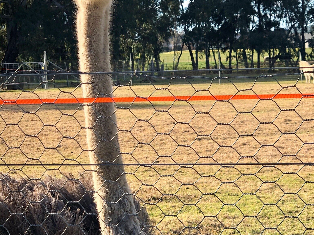 Mudgee's Getaway Cottages主图