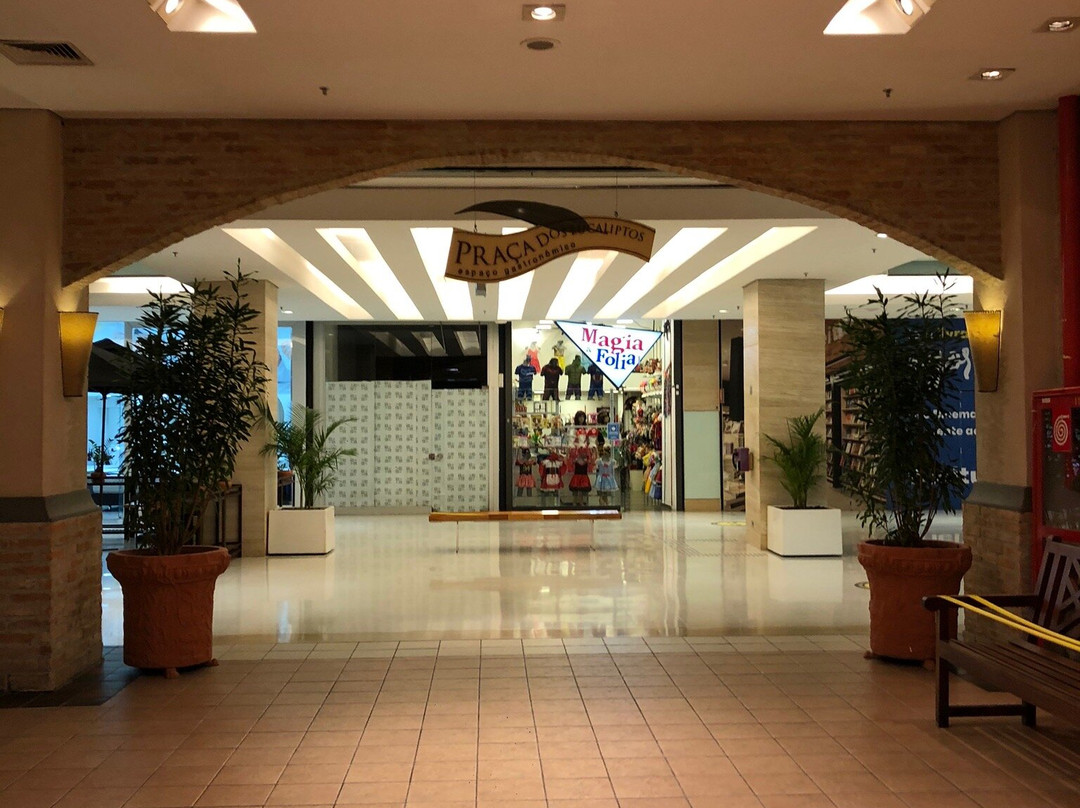 Shopping Ibirapuera景点图片