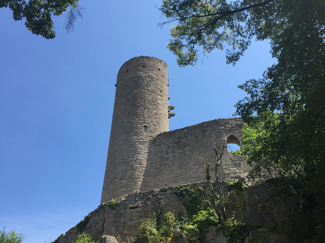 Château d'Andlau景点图片