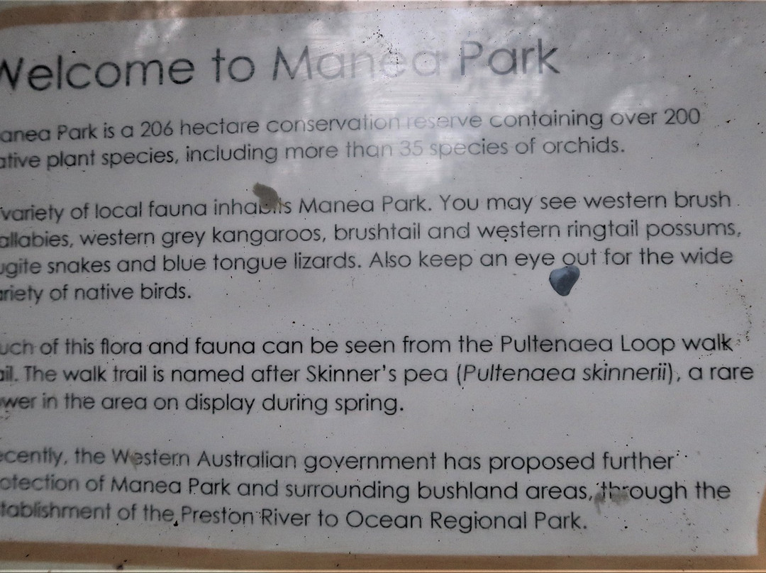 Manea Park-班伯利必去景点