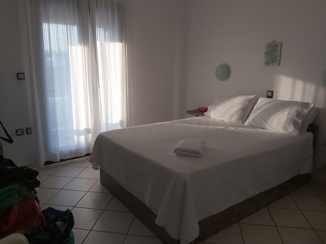 Pallas Pension主图