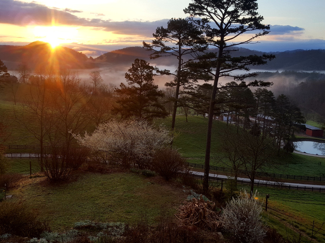 Walnut Hollow Ranch-Hayesville必去景点