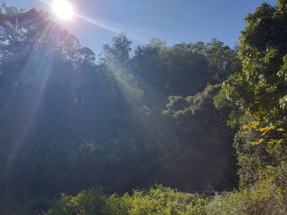 Scenic Rim Adventure Park景点图片