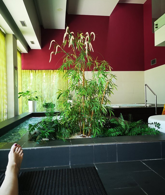 蓝阳卡奇酒店主图