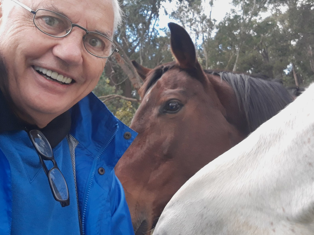 Whispering Pines B&B主图