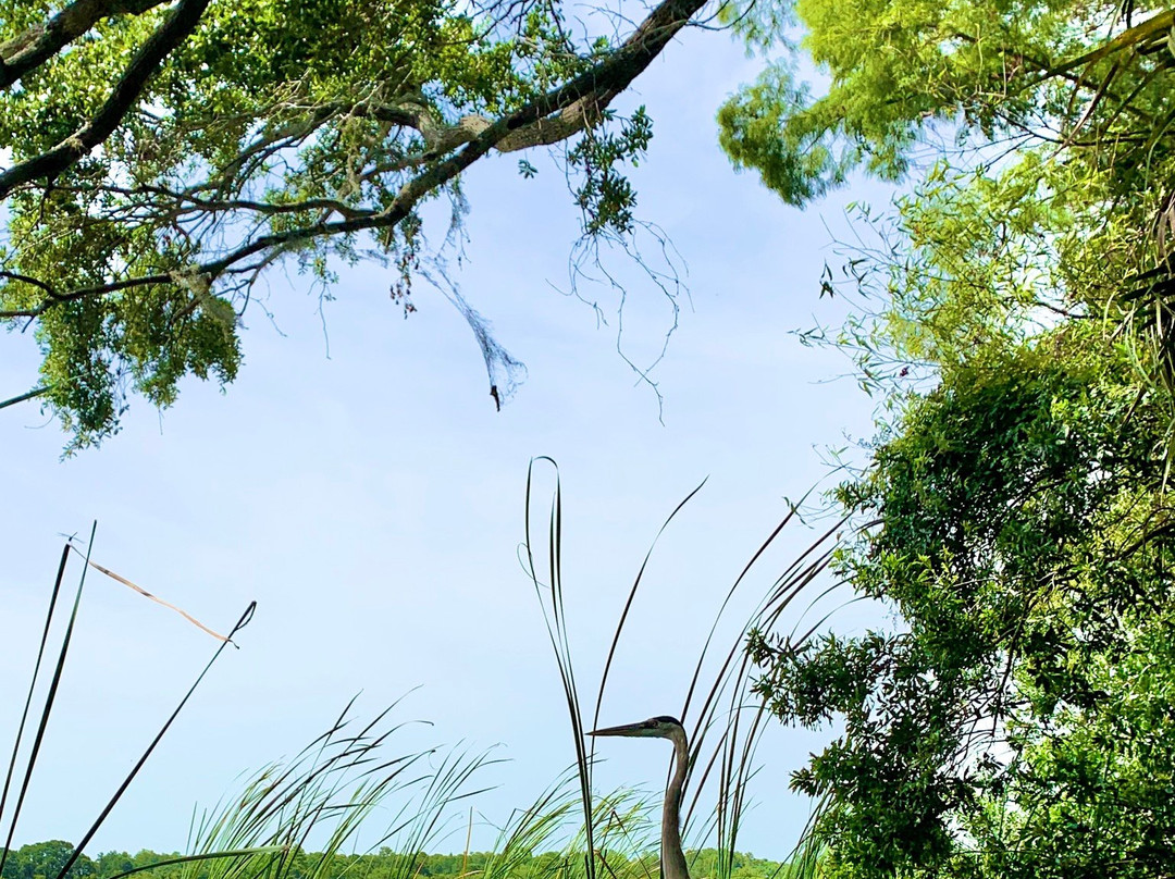 A. L. Anderson Park-塔彭斯普林斯必去景点