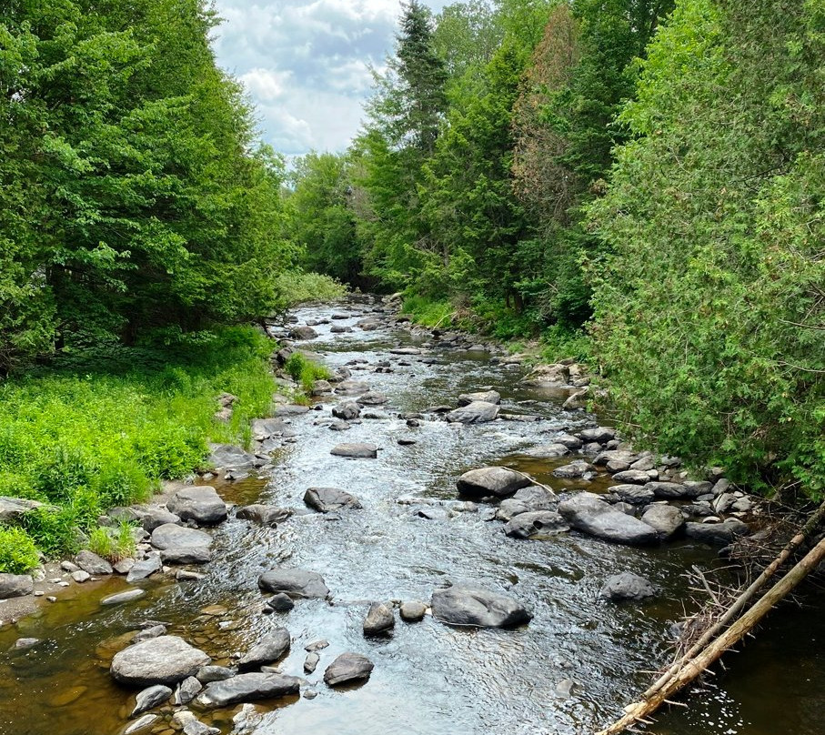 Parc National de la Yamaska景点图片