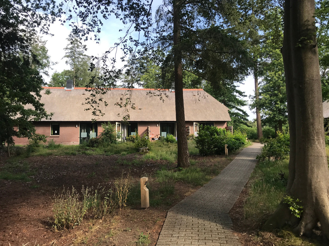 Landgoedhotel Woodbrooke Barchem主图