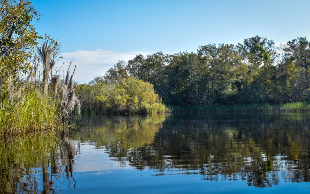 Everglades Adventures Kayak & Eco Tours-大沼泽地必去景点