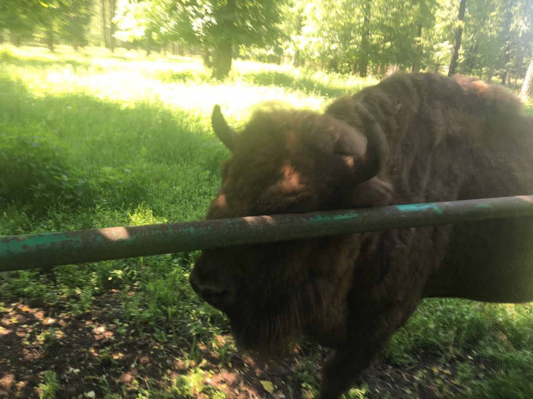 The Bison Breeding Centre景点图片