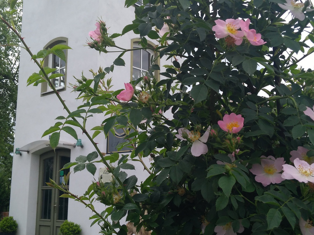 Villa Ampere景点图片